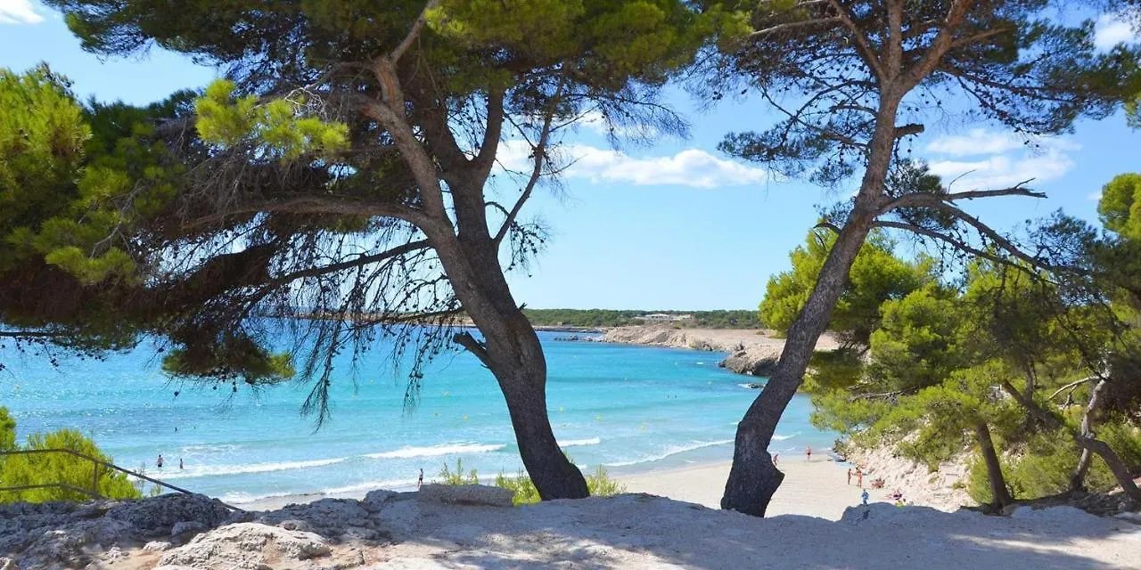 Appartement Sauge Martigues Apartment